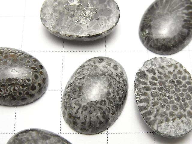 [Video] Morocco Black Fossil Coral Oval Cabochon 18x13mm 2pcs $8.79!