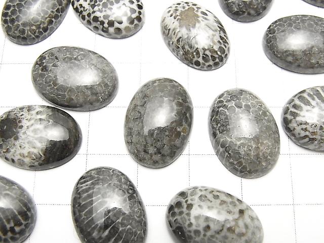 [Video] Morocco Black Fossil Coral Oval Cabochon 18x13mm 2pcs $8.79!
