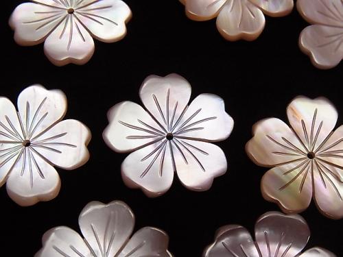[Video] High Quality Pink Shell AAA Flower 20mm Central Hole 1pc