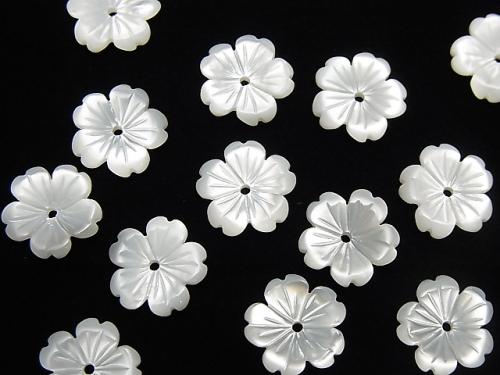[Video] High Quality White Shell AAA Flower 10mm Central Hole 3pcs