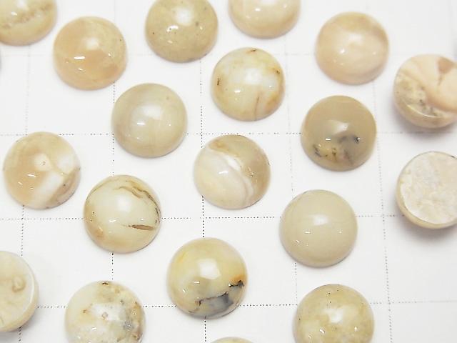 [Video] African Opal Round Cabochon 8x8mm 3pcs