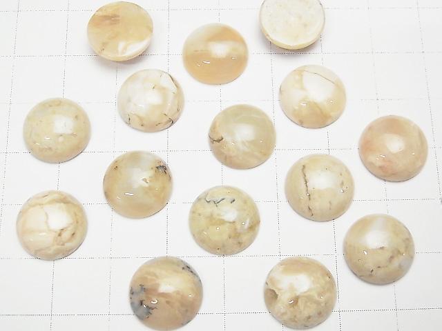 [Video] African Opal Round Cabochon 12x12mm 2pcs
