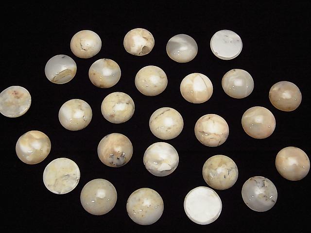 [Video] African Opal Round Cabochon 12x12mm 2pcs