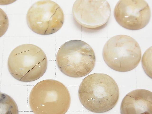 [Video] African Opal Round Cabochon 14x14mm 2pcs
