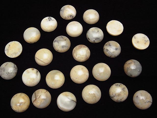 [Video] African Opal Round Cabochon 14x14mm 2pcs