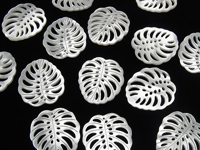 [Video] High Quality White Shell Watermark Leaf 25x23mm 1pc