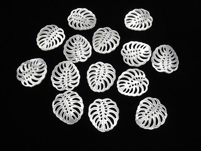 [Video] High Quality White Shell Watermark Leaf 25x23mm 1pc