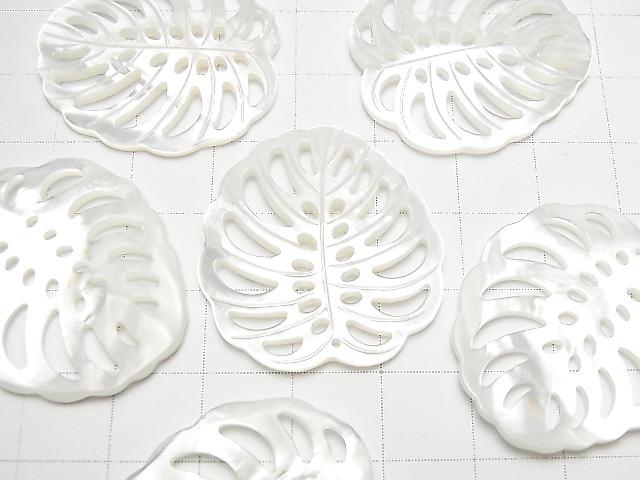 [Video] High Quality White Shell Watermark Leaf 30x27mm 1pc