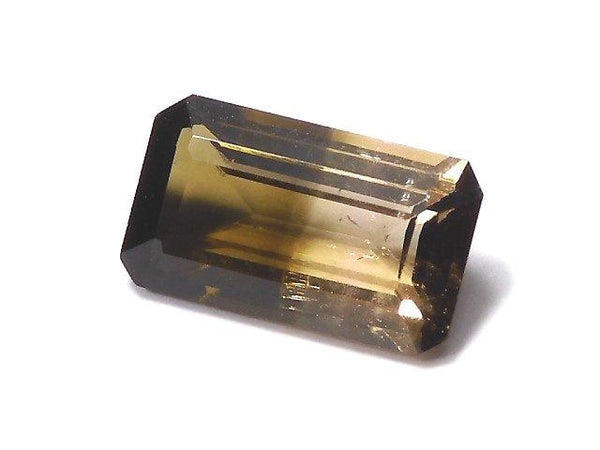 [Video] [One of a kind] Nigeria High Quality Bi-color Tourmaline AAA Faceted 1pc NO.207