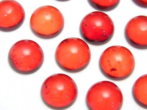 [Video] Red Color Amber Round Cabochon 12x12mm 2pcs