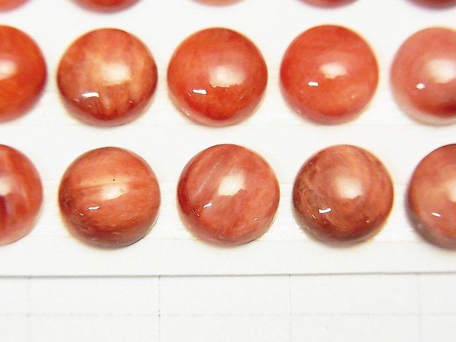 [Video] Spiny Oyster Shell Round Cabochon 8x8x4mm 1pc