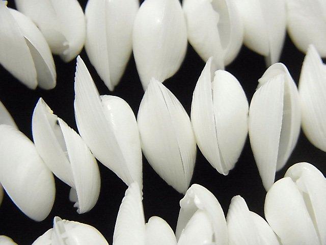 [Video] White Kaykay Shell Beads 1strand beads (aprx.15inch / 38cm)