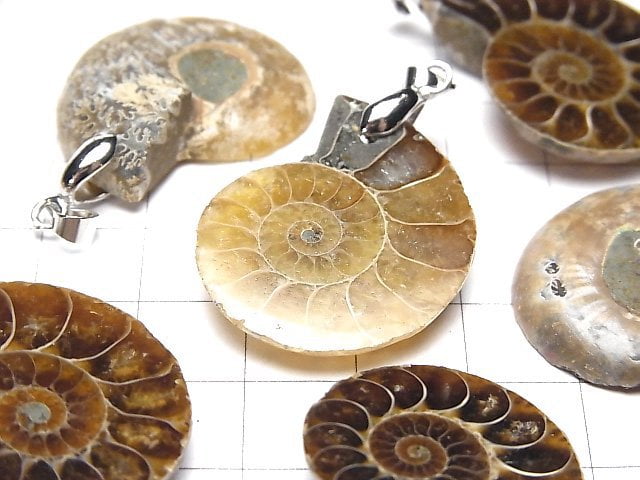 [Video] Madagascar Ammonite Pendant 2pcs