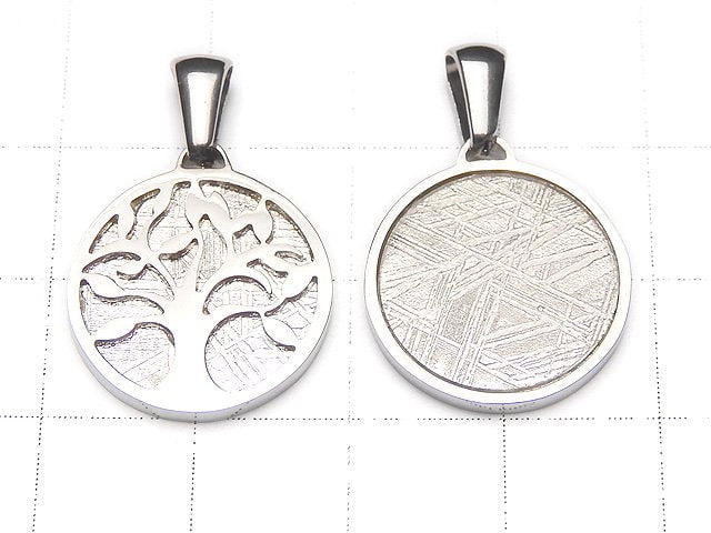 [Video] Meteorite Tree of Life Designed Coin Pendant 17mm Silver925