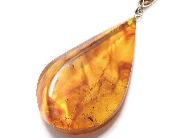 [Video] [One of a kind] Insect Baltic Amber Pendant Silver925 NO.2