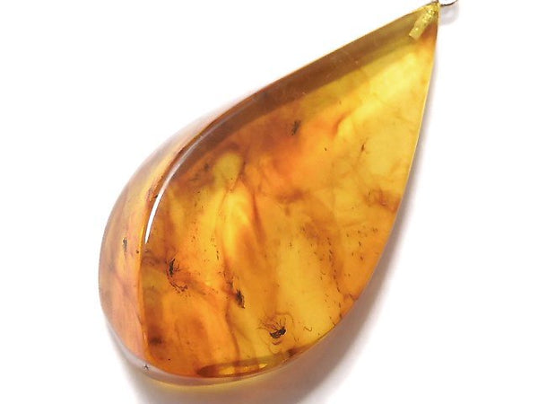 [Video] [One of a kind] Insect Baltic Amber Pendant Silver925 NO.3