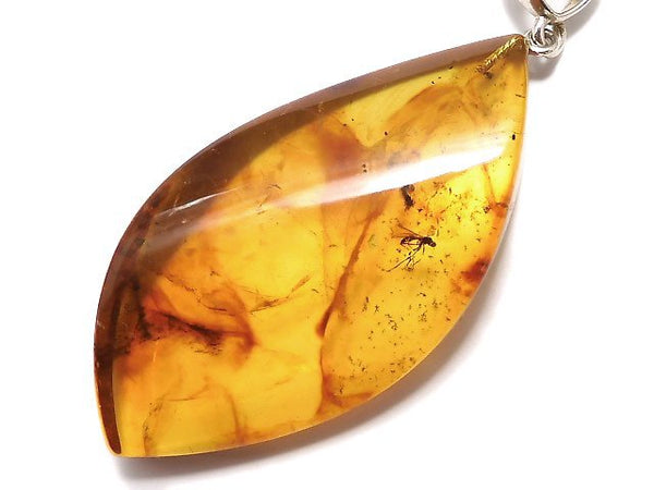 [Video] [One of a kind] Insect Baltic Amber Pendant Silver925 NO.8