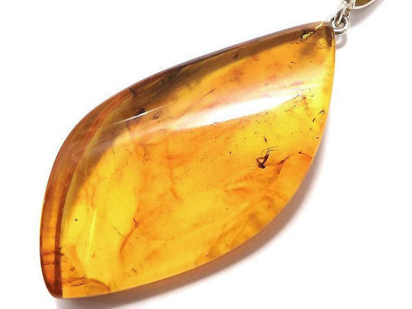 [Video] [One of a kind] Insect Baltic Amber Pendant Silver925 NO.9