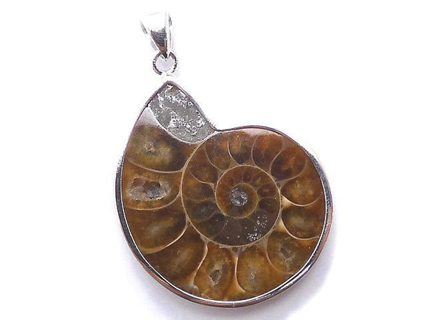 [Video] [One of a kind] Ammonite Pendant Silver925 NO.1