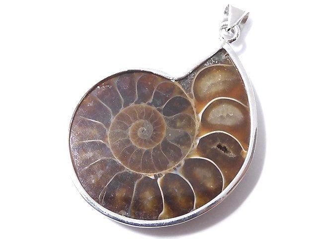 [Video] [One of a kind] Ammonite Pendant Silver925 NO.5