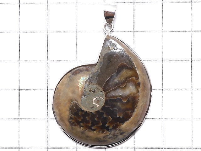 [Video] [One of a kind] Ammonite Pendant Silver925 NO.7