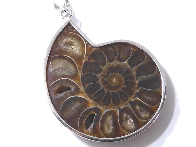 [Video] [One of a kind] Ammonite Pendant Silver925 NO.10