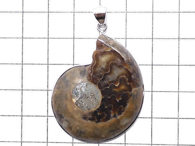 [Video] [One of a kind] Ammonite Pendant Silver925 NO.10
