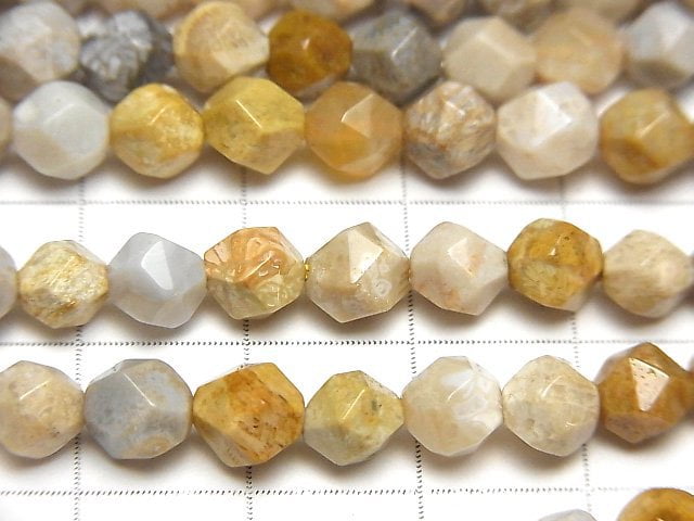 Fossil Coral  24Faceted Round 6mm 1strand beads (aprx.15inch/36cm)