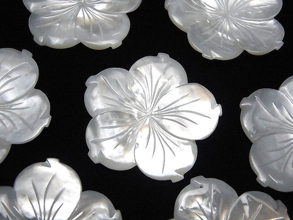[Video] High Quality White Shell (Silver-lip Oyster )AAA Flower 38mm White 1pc