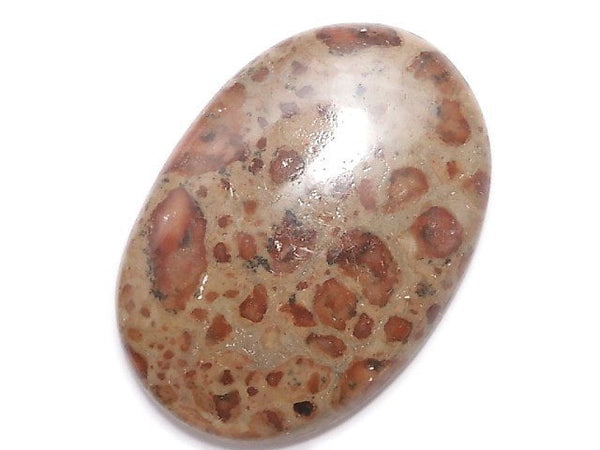 [Video][One of a kind] Asteroid Jasper Cabochon 1pc NO.8
