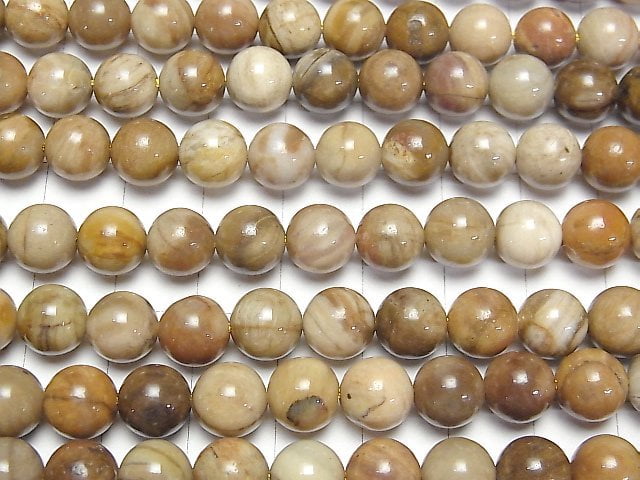 [Video]Petrified Wood Round 8mm half or 1strand beads (aprx.15inch/37cm)