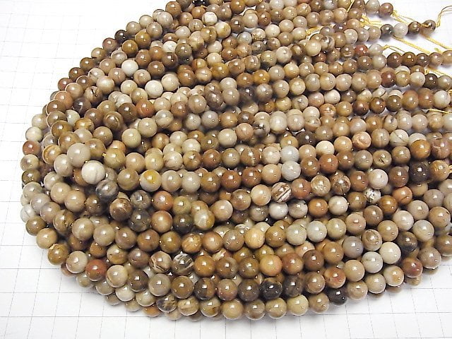 [Video]Petrified Wood Round 8mm half or 1strand beads (aprx.15inch/37cm)