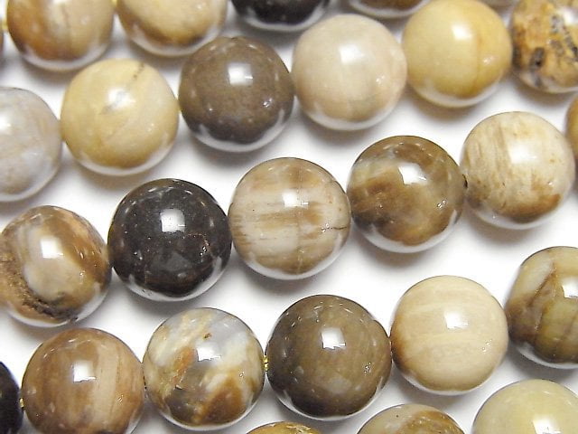 [Video]Petrified Wood Round 10mm half or 1strand beads (aprx.15inch/37cm)