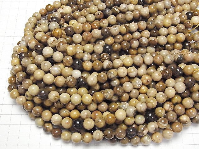 [Video]Petrified Wood Round 10mm half or 1strand beads (aprx.15inch/37cm)