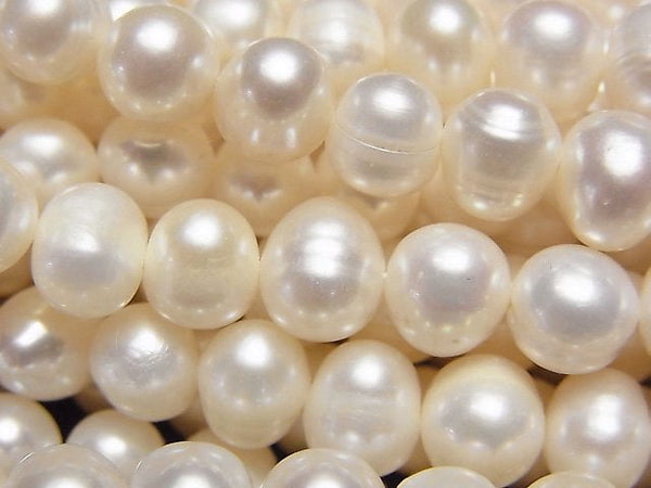 [Video]Fresh Water Pearl AA Potato 7-8mm White 1strand beads (aprx.14inch/34cm)