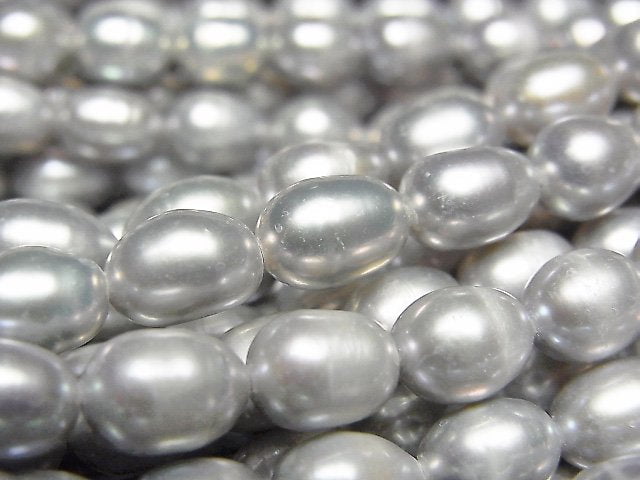 [Video]Fresh Water Pearl AA- Rice 7x6x6mm Silver 1strand beads (aprx.13inch/33cm)