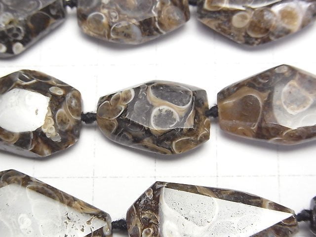 [Video]Fossil Crinoid Faceted Nugget half or 1strand (37cm)