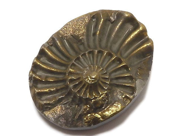 [Video][One of a kind] Ammonite Pyrite Loose stone 1pc NO.265
