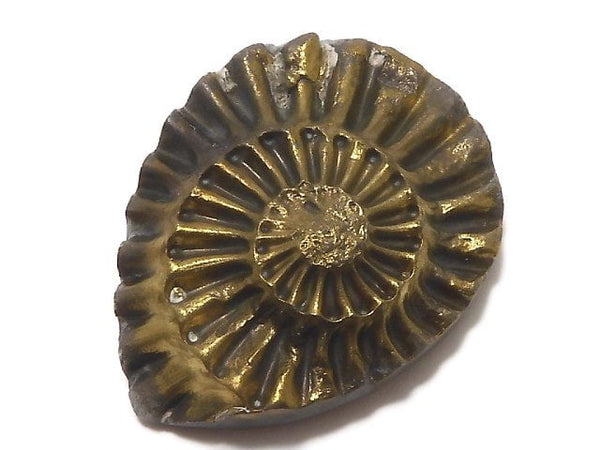 [Video][One of a kind] Ammonite Pyrite Loose stone 1pc NO.268