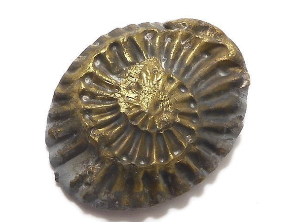 [Video][One of a kind] Ammonite Pyrite Loose stone 1pc NO.276