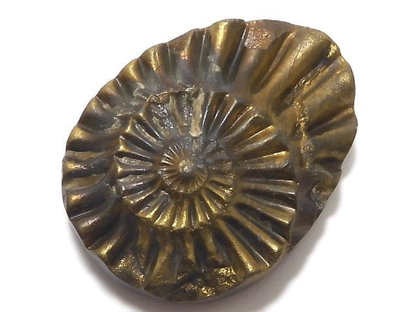 [Video][One of a kind] Ammonite Pyrite Loose stone 1pc NO.277