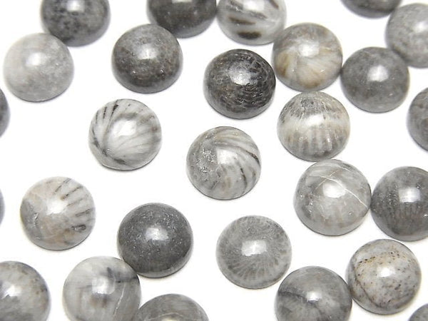 [Video] Moroccan Black Fossil Coral Round Cabochon 8x8mm 5pcs
