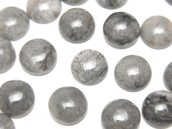 [Video] Moroccan Black Fossil Coral Round Cabochon 10x10mm 5pcs