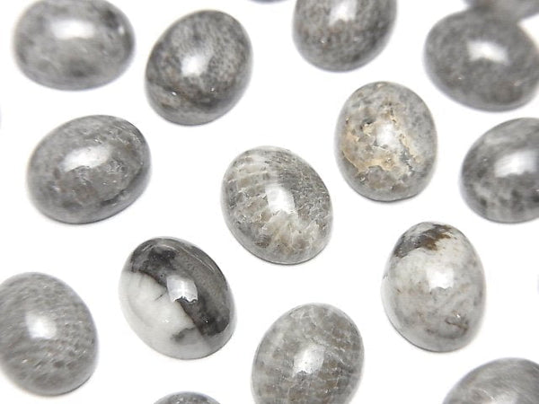 [Video] Moroccan Black Fossil Coral Oval Cabochon 10x8mm 5pcs