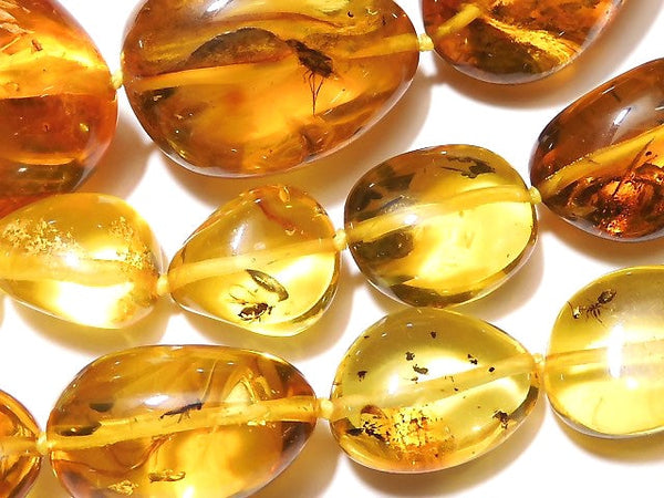 [Video] [One of a kind] Insect Baltic Amber Nugget Necklace