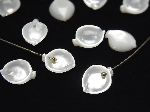 [Video] High quality white Shell (Silver-lip Oyster) AAA flower (petal) 10 x 8 mm 4 pcs $3.79!