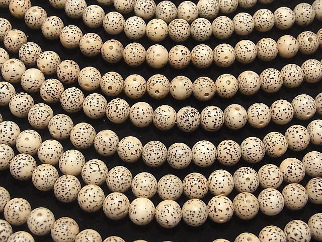 [Video] Linden (Bodhi tree) seed beads Round (Semi Round) 8mm 1strand beads (aprx.14inch / 34cm)