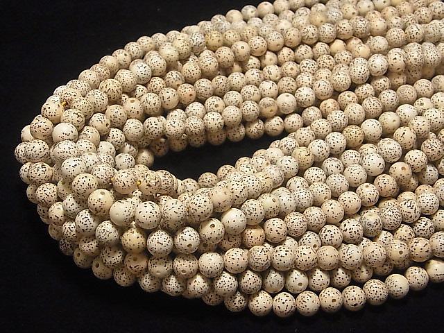 [Video] Linden (Bodhi tree) seed beads Round (Semi Round) 8mm 1strand beads (aprx.14inch / 34cm)