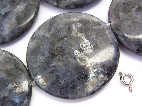 Larvikite  Coin 45x45x7 2pcs ,1strand (aprx.16inch/40cm)