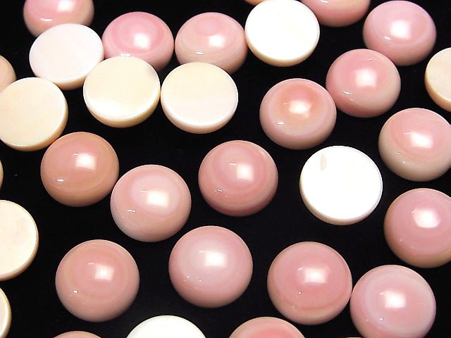 [Video] Queen Conch Shell AAA Round Cabochon 12x12x5mm 3pcs $8.79!